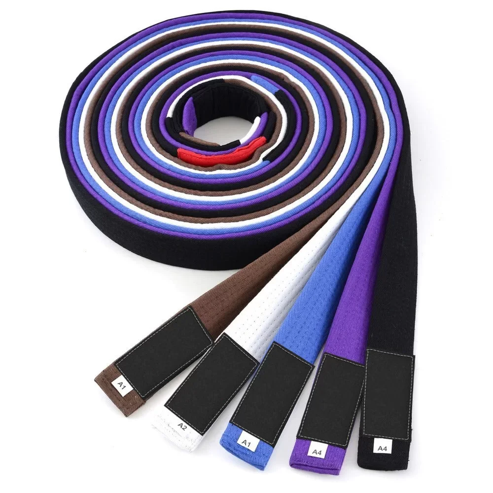 bjj_belt.webp